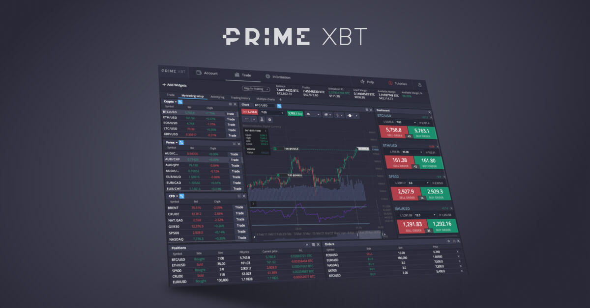 Exploring the Thrills of the PrimeXBT Contest
